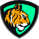 BiKing Crypto Exchange Logo