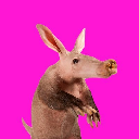 Aardvark Cryptocurrency Logo