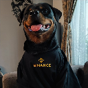 BinanceDog On Sol Cryptocurrency Logo