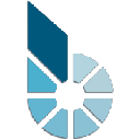 bitCNY Cryptocurrency Logo