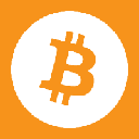 Bitcoin Inu Cryptocurrency Logo