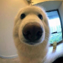 Boop Cryptocurrency Logo