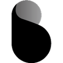 Bottos Cryptocurrency Logo