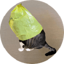 catwifbag Cryptocurrency Logo
