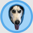 DOGWIFHOOD Cryptocurrency Logo