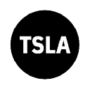 Tesla Tokenized Stock Defichain Cryptocurrency Logo