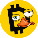 Duckies, the canary network for Yellow Cryptocurrency Logo