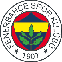 Fenerbahçe Token Cryptocurrency Logo