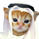 Habibi Cryptocurrency Logo