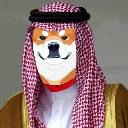 HajiIni Cryptocurrency Logo