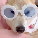Iro-Chan Cryptocurrency Logo