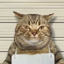 Jail Cat Cryptocurrency Logo