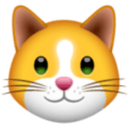 KittenFinance Cryptocurrency Logo