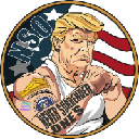 NeverSurrenderOne's Cryptocurrency Logo