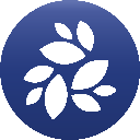 NKN Cryptocurrency Logo