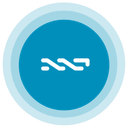 Nxt Cryptocurrency Logo