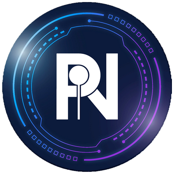 Pay It Now Cryptocurrency Logo