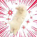 real fast Cryptocurrency Logo
