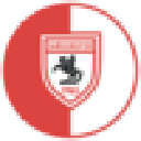 Samsunspor Fan Token Cryptocurrency Logo