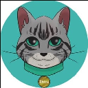 Shira Cat Cryptocurrency Logo