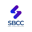 Smart Block Chain City Cryptocurrency Logo