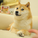 The Doge NFT Cryptocurrency Logo