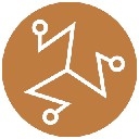 TOR Cryptocurrency Logo