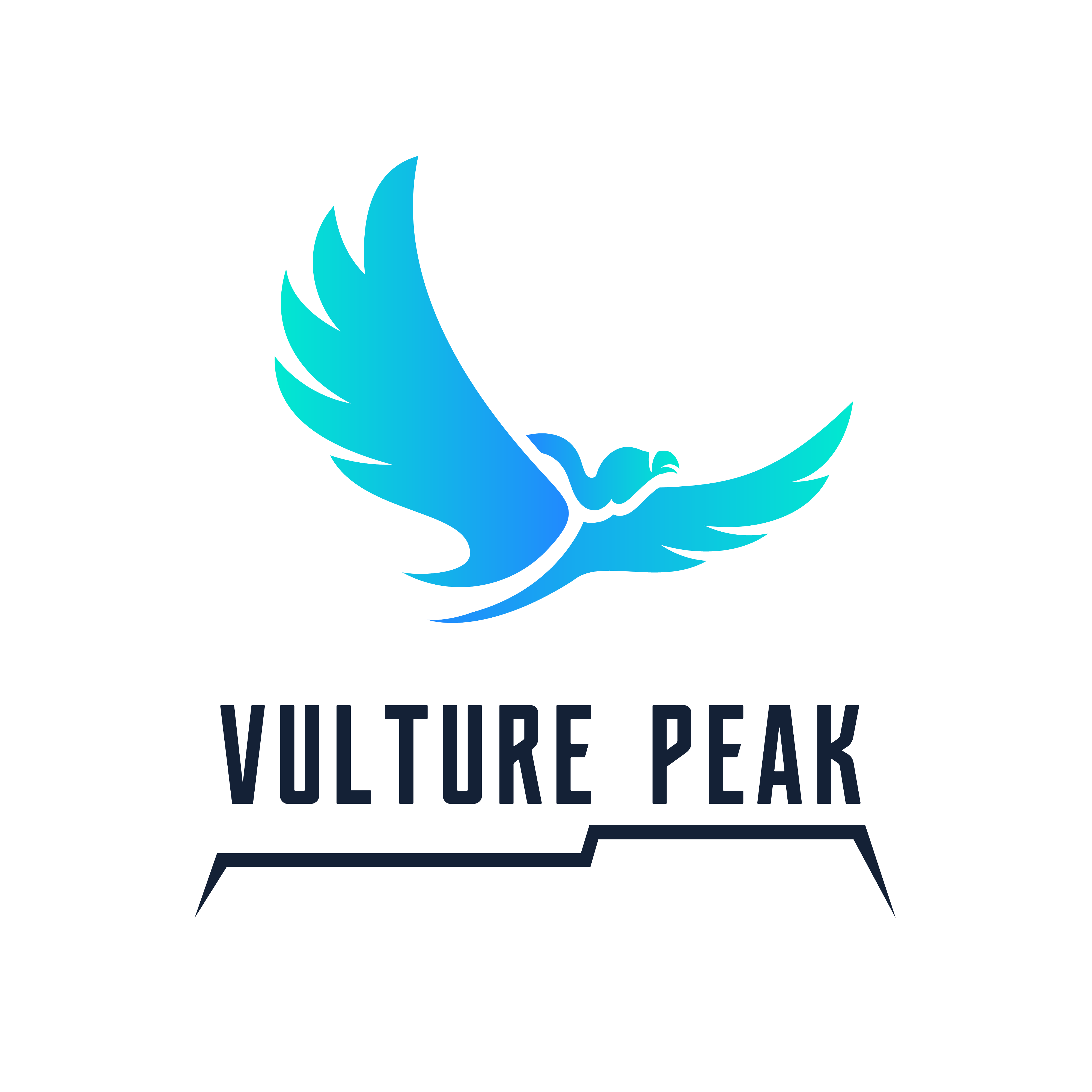Vulture Peak Cryptocurrency Logo