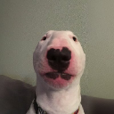 walter Cryptocurrency Logo