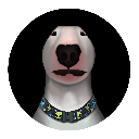 Walter Inu Cryptocurrency Logo