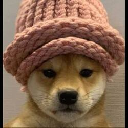 Wif - SecondChance Cryptocurrency Logo