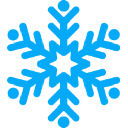 Winter Cryptocurrency Logo