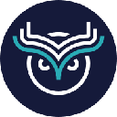 Wise Token Cryptocurrency Logo