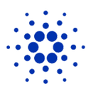 Wrapped Cardano Cryptocurrency Logo