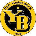 Young Boys Fan Token Cryptocurrency Logo